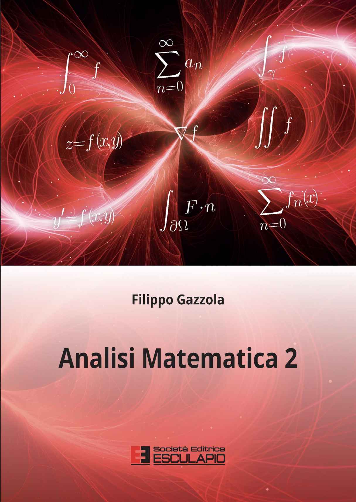 Analisi Matematica 2 (Italian Edition)